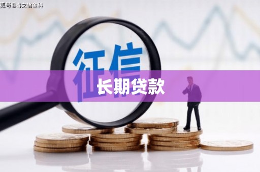 那坡长期贷款
