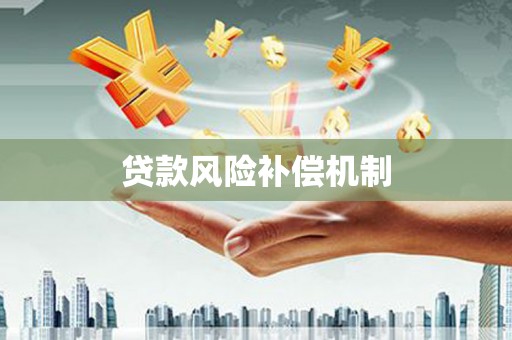 那坡贷款风险补偿机制