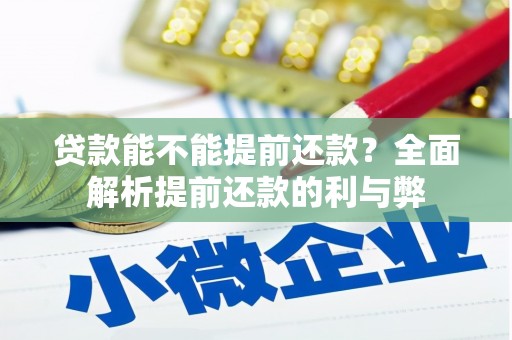 那坡贷款能不能提前还款？全面解析提前还款的利与弊
