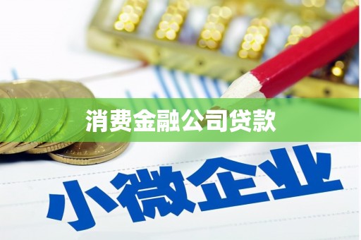 那坡消费金融公司贷款