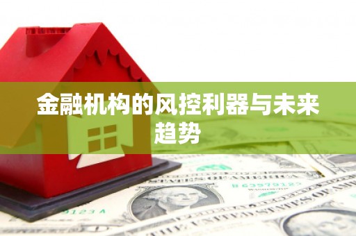 那坡金融机构的风控利器与未来趋势