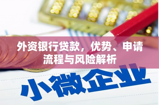 那坡外资银行贷款，优势、申请流程与风险解析