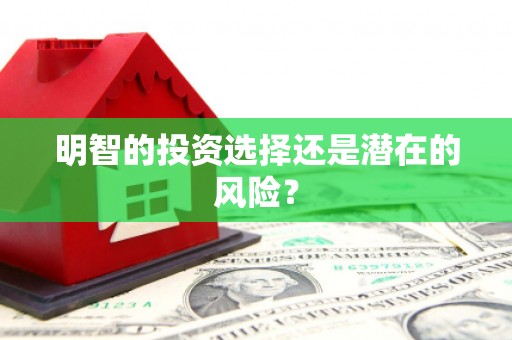 那坡明智的投资选择还是潜在的风险？