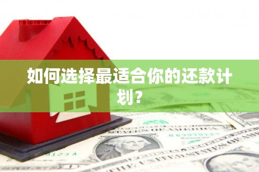那坡如何选择最适合你的还款计划？