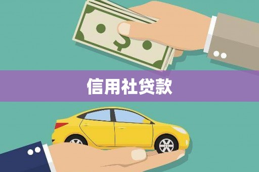 那坡信用社贷款