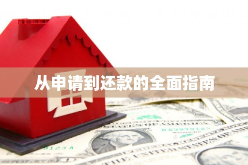 那坡从申请到还款的全面指南