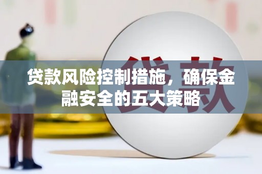 那坡贷款风险控制措施，确保金融安全的五大策略