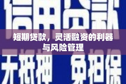 那坡短期贷款，灵活融资的利器与风险管理