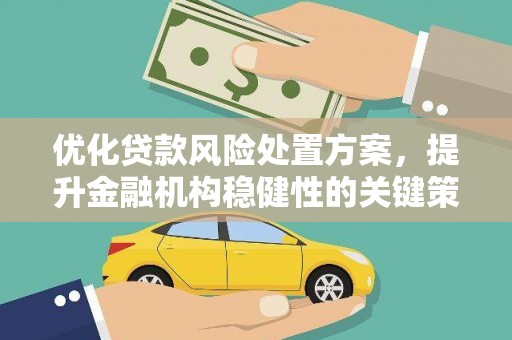 那坡优化贷款风险处置方案，提升金融机构稳健性的关键策略