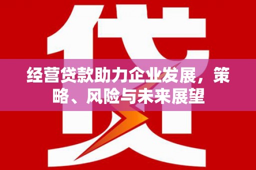 那坡经营贷款助力企业发展，策略、风险与未来展望
