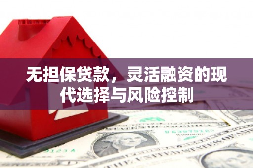 那坡无担保贷款，灵活融资的现代选择与风险控制