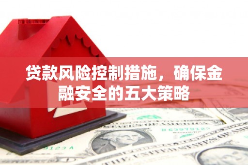 那坡贷款风险控制措施，确保金融安全的五大策略