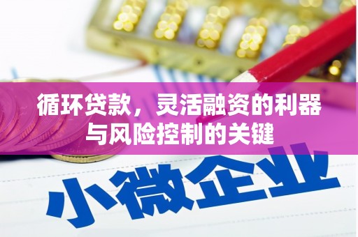那坡循环贷款，灵活融资的利器与风险控制的关键