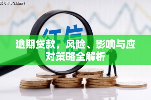 那坡逾期贷款，风险、影响与应对策略全解析
