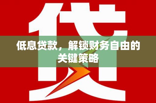那坡低息贷款，解锁财务自由的关键策略