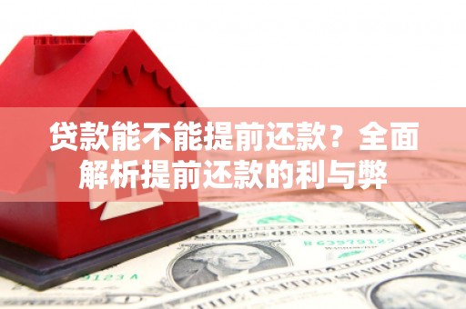 那坡贷款能不能提前还款？全面解析提前还款的利与弊
