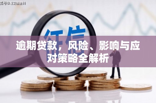 那坡逾期贷款，风险、影响与应对策略全解析