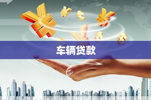 那坡车辆贷款