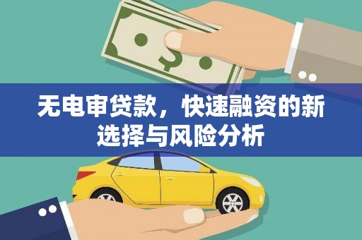 那坡无电审贷款，快速融资的新选择与风险分析
