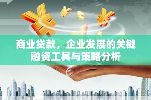 那坡商业贷款，企业发展的关键融资工具与策略分析