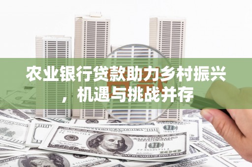 那坡农业银行贷款助力乡村振兴，机遇与挑战并存