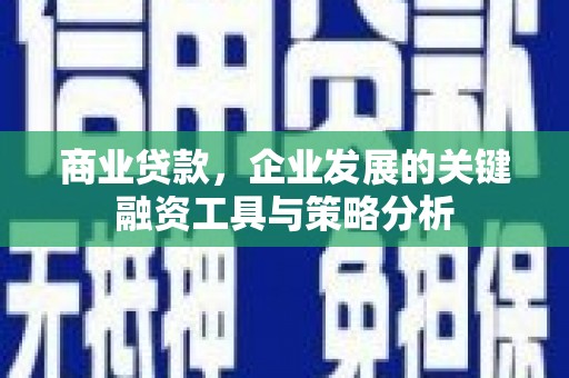 那坡商业贷款，企业发展的关键融资工具与策略分析