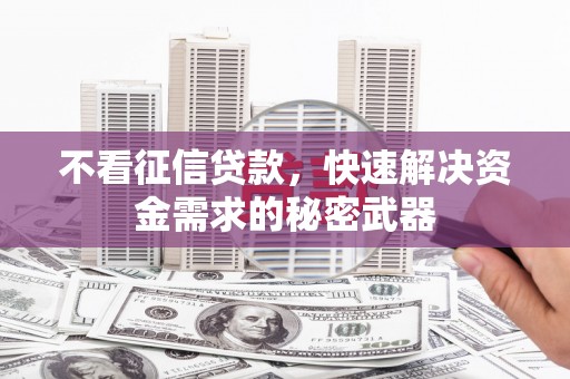 那坡不看征信贷款，快速解决资金需求的秘密武器
