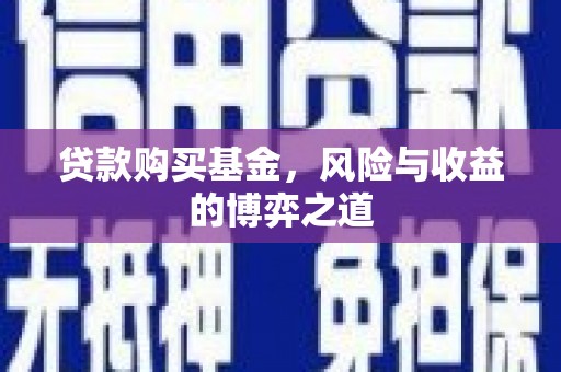那坡贷款购买基金，风险与收益的博弈之道