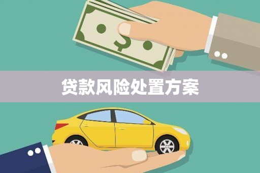 那坡贷款风险处置方案