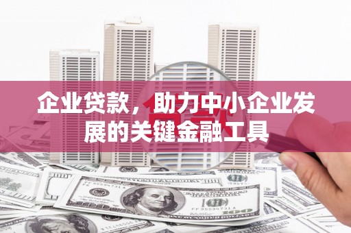 那坡企业贷款，助力中小企业发展的关键金融工具