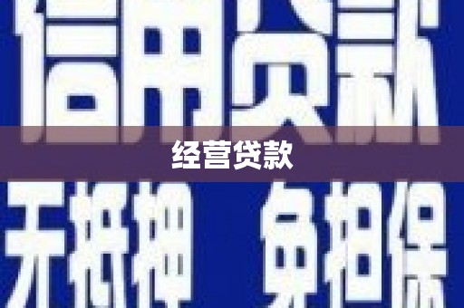 那坡经营贷款