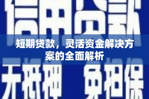 那坡短期贷款，灵活资金解决方案的全面解析