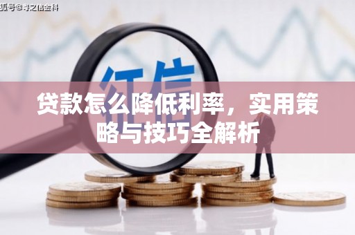 那坡贷款怎么降低利率，实用策略与技巧全解析