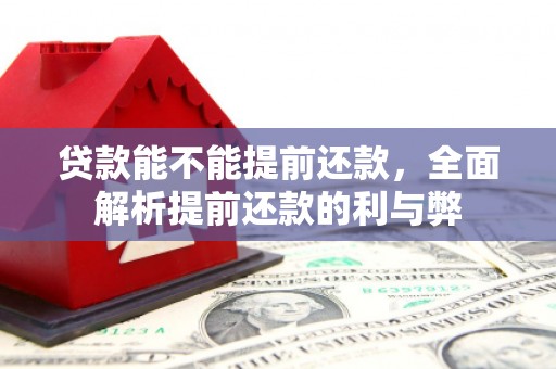 那坡贷款能不能提前还款，全面解析提前还款的利与弊