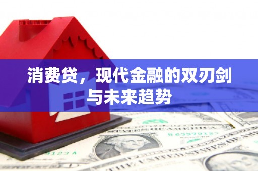 那坡消费贷，现代金融的双刃剑与未来趋势