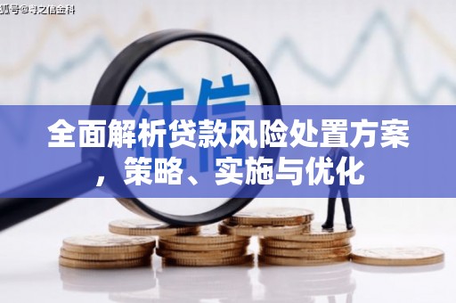 那坡全面解析贷款风险处置方案，策略、实施与优化
