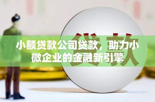 那坡小额贷款公司贷款，助力小微企业的金融新引擎