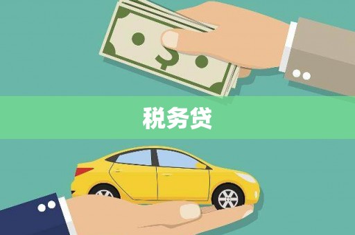 那坡税务贷