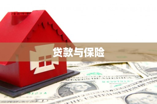那坡贷款与保险