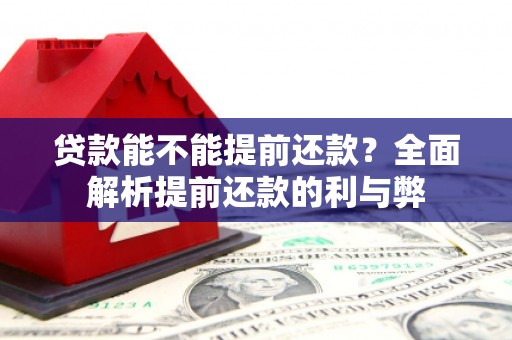 那坡贷款能不能提前还款？全面解析提前还款的利与弊