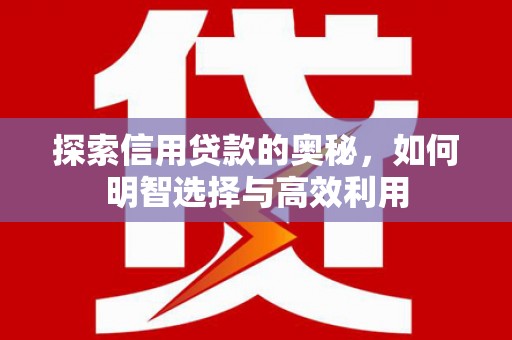 那坡探索信用贷款的奥秘，如何明智选择与高效利用
