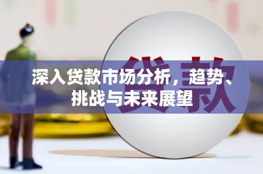 那坡深入贷款市场分析，趋势、挑战与未来展望