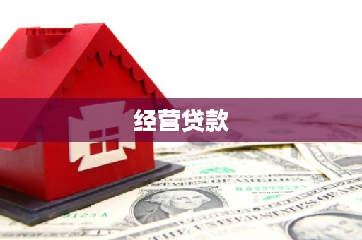 那坡经营贷款