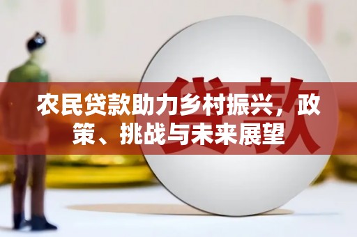那坡农民贷款助力乡村振兴，政策、挑战与未来展望