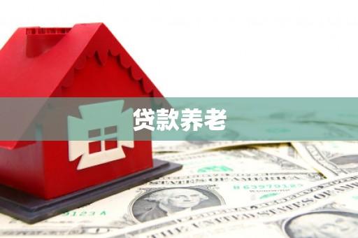 那坡贷款养老