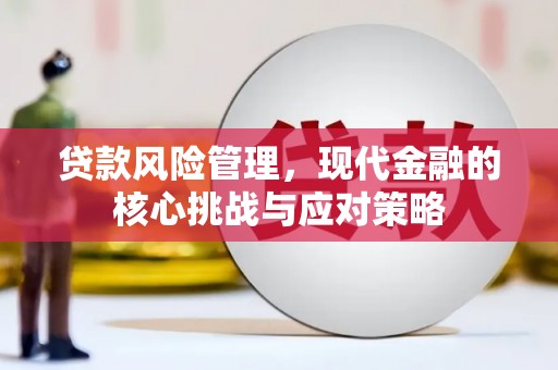 那坡贷款风险管理，现代金融的核心挑战与应对策略