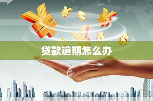 那坡贷款逾期怎么办