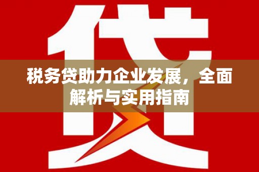 那坡税务贷助力企业发展，全面解析与实用指南