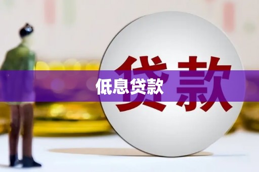 那坡低息贷款