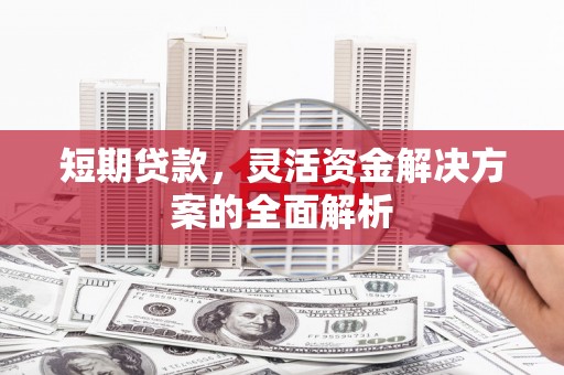 那坡短期贷款，灵活资金解决方案的全面解析